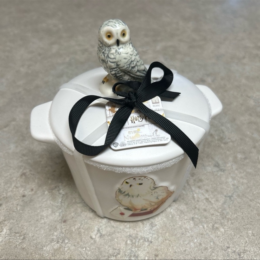 Rae Dunn Harry Potter Hedwig Dish